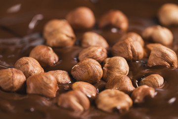 Close-up hazelnuts in melted dark chocolate