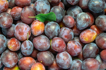 Fresh ripe red plums as a background