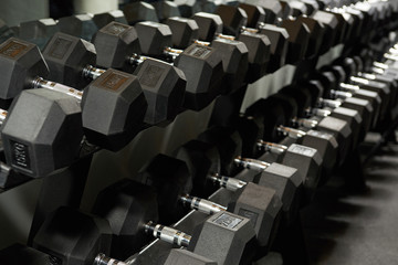 Fitness center dumbbells