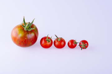 A row of five red tomatos in a different size