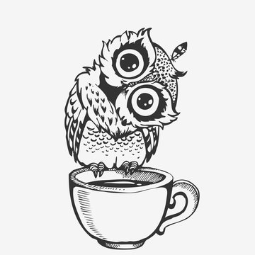 Cute owl cartoon character line sketch