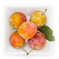 Aprikosen Marillen reif in einer Schale