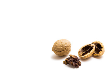 Walnut on white background