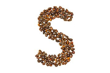 Obraz premium 40 / 10000 АНГЛИЙСКИЙ Перевести вGoogleBing The alphabet of the pine nuts on a white background