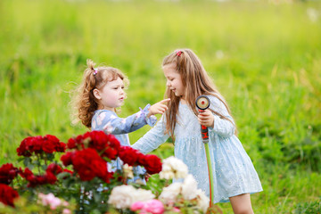 Two adorable little sisters watering rosarium garden together