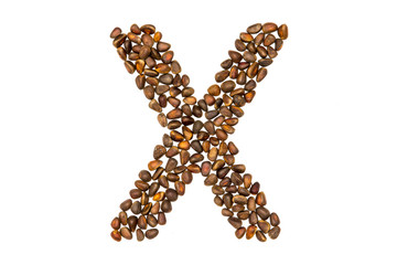40 / 10000 АНГЛИЙСКИЙ Перевести вGoogleBing The alphabet of the pine nuts on a...