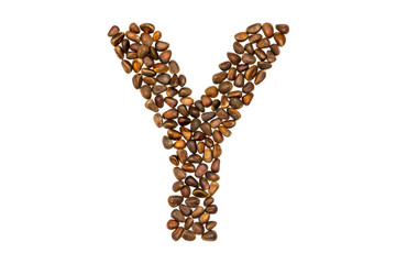 40 / 10000 АНГЛИЙСКИЙ Перевести вGoogleBing The alphabet of the pine nuts on a white background