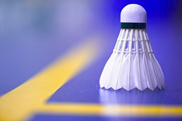 badminton shuttlecock background