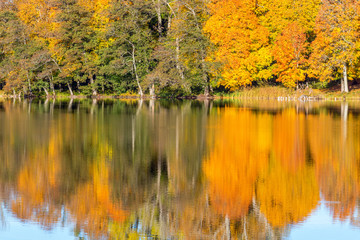 Idyllic lake with autumn colors on the trees reflecting in the water