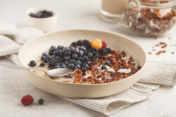 Homemade granola with nuts and coconut with berries and milk in a white plate.