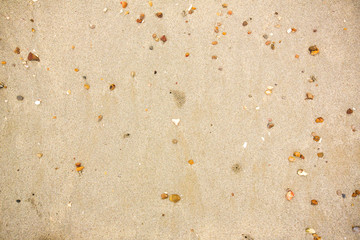 background of gravel and sand space for text here.beach sand and sea stones.