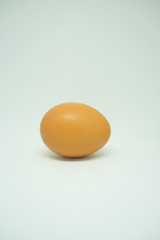 chicken egg on the table