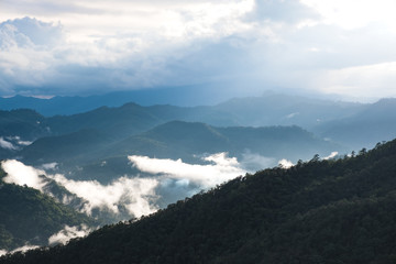 Landscape image of greenery rainforest hills in foggy day with blue sky background