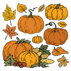 autumn pumpkin set