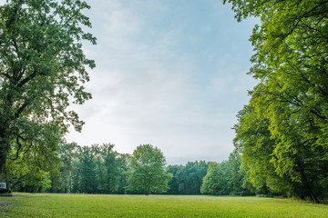 Park in summer