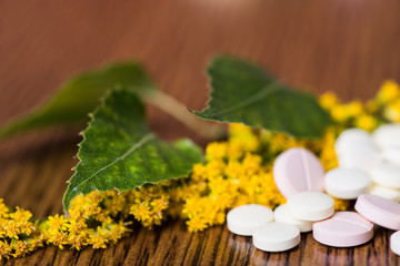 Obraz na płótnie Canvas Medicine herb. Herbal pills