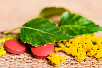 Medicine herb. Herbal pills