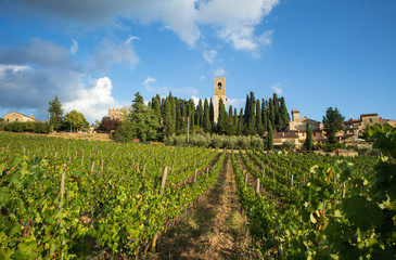 Harvest in Chianti vineyard landscape with red wine grapes and characteristic abbey in the...