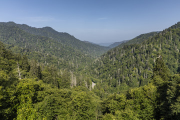 Smoky Mountains Scenic Landscape
