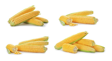 Set with delicious corn cobs on white background