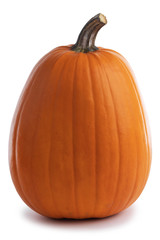 One orange pumpkin