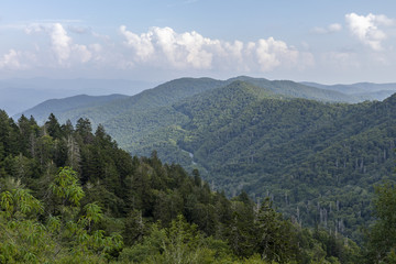 Fototapeta na wymiar Smoky Mountains Scenic View