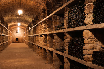 Wine cellar interior with many bottles on shelves