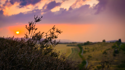 Teufelsmauer Weddersleben