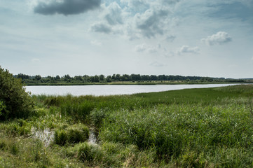 River on a summer day