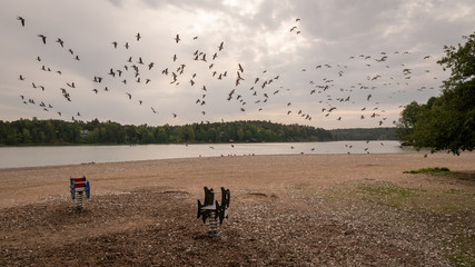 September beach, playground and birds.