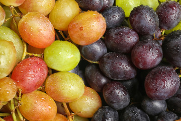 Fresh ripe juicy grapes as background, closeup