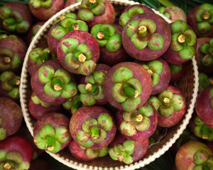 Mangosteen .