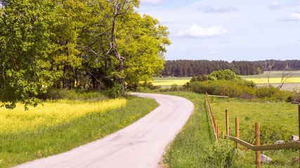 Fototapeta na wymiar rural road in sweden