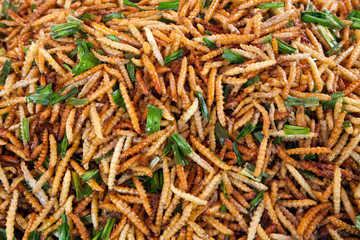 Thai food at market. Fried insects mealworms for snack. Fried worms..