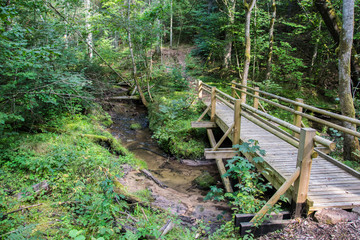 Beautiful view of a small wooden bridge over a stream in the forest in Gauja National Park in Latvia.