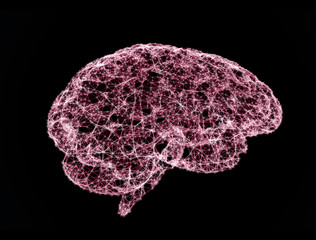 Abstract geometric brain with triangular polygons, network connections.