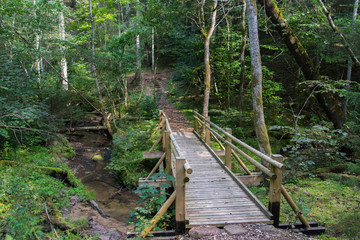 Beautiful view of a small wooden bridge over a stream in the forest in Gauja National Park in Latvia.