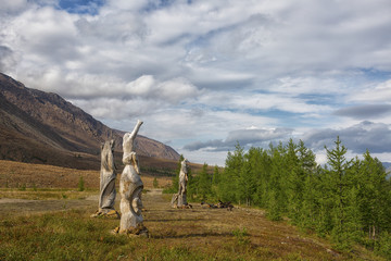 Wooden idols on the banks of the Sob River, Polar Urals, Yamal, Russia