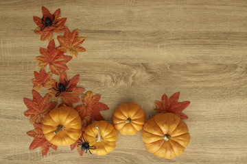 Pumpkin Autumn Thanksgiving Background