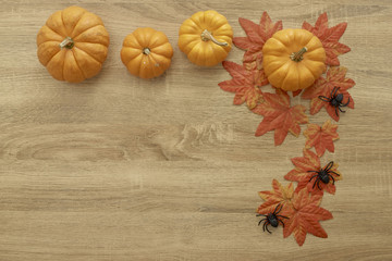 Naklejka na ściany i meble Pumpkin Autumn Thanksgiving Background