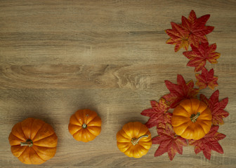 Autumn Harvested pumpkin on wooden