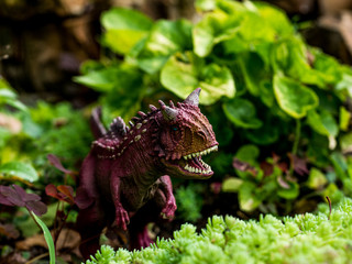toy on rock