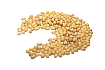 beans isolated on white background