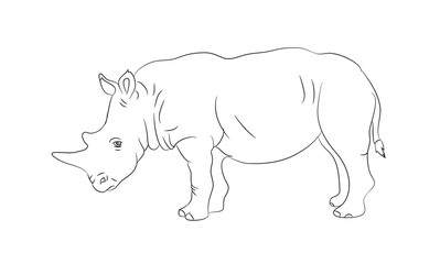 rhinoceros worth drawing lines, vector