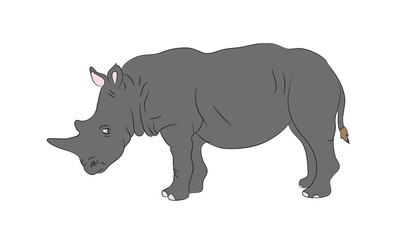 gray rhino worth drawing, vector