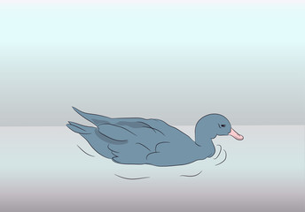 small duck is on nature vector