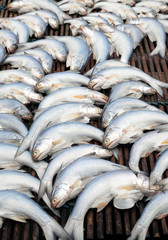 Obraz premium Dried fish on the grid in the sunny day