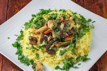 Plate of tasty rice with chicken meat