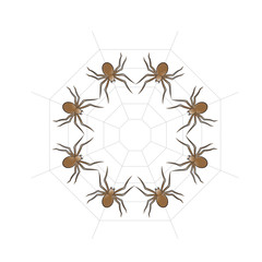 brown color spiders in circle isolated on white background vector illustration