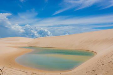 Lençóis Maranhenses National Park, The park is home to a range of species, including four listed as endangered, and has become a popular destination for ecotourists.